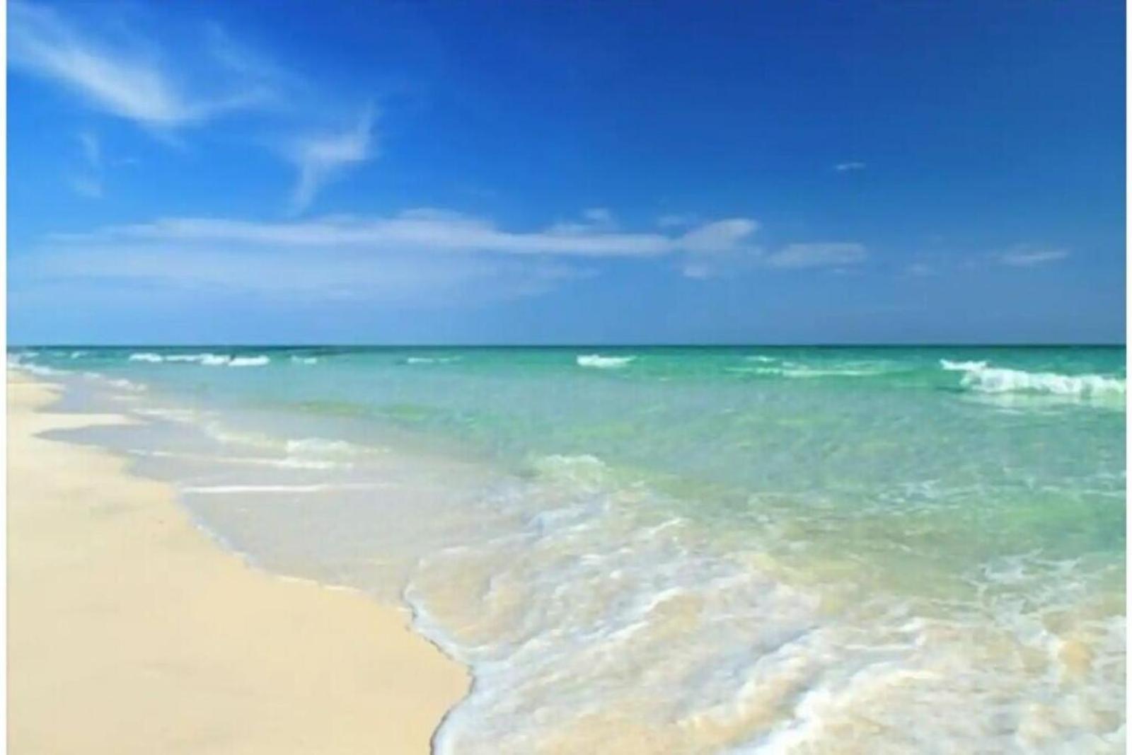 Beachfront Getaway In Siesta Key Eksteriør billede